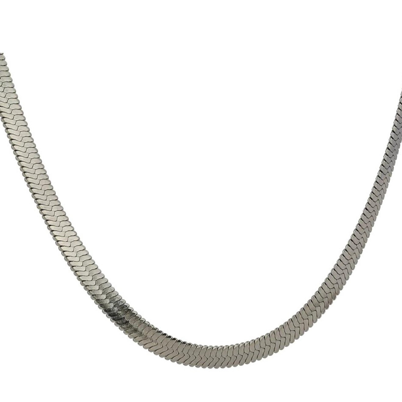Snake Silver Chain